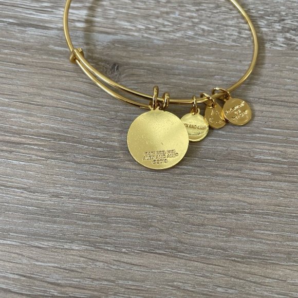 Alex And Ani Harry Potter Dobby Is Free Gold Bangle Bracelet Retired Sold Out - Picture 2 of 3